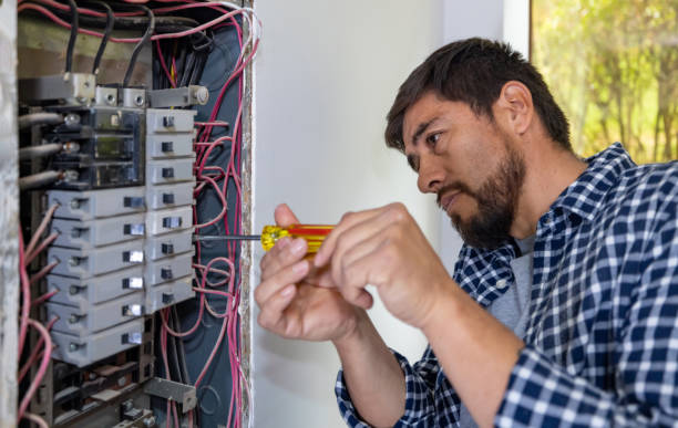 Best Home Electrical Repair  in Memphis, MI
